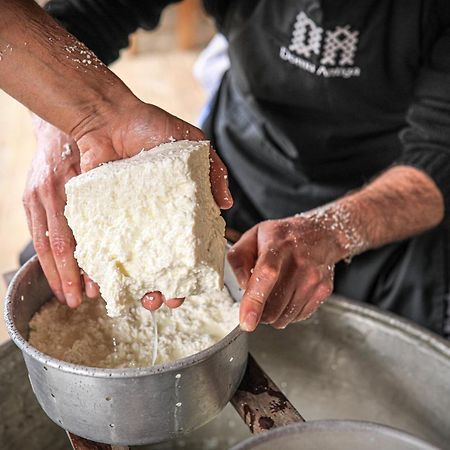 Domu Antiga Panzió Gergei Kültér fotó